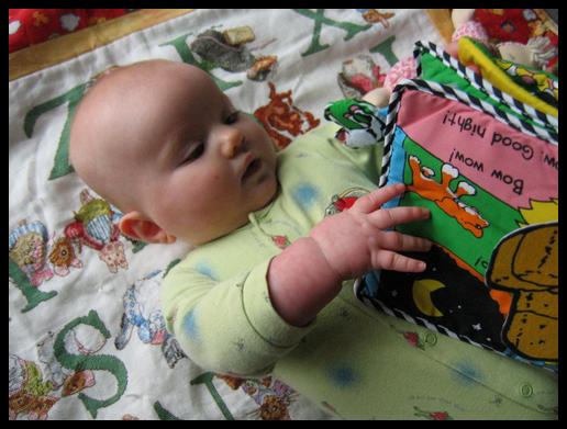 bow wow imagenes. Fotos de Bow wow tambien imagenes y Videos